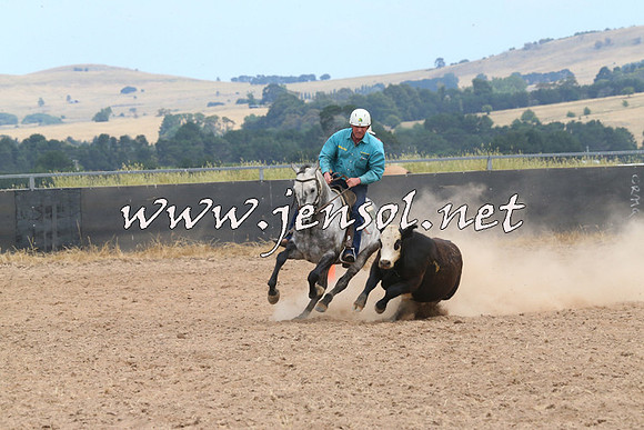 BraidwoodCampdraft2014_1339