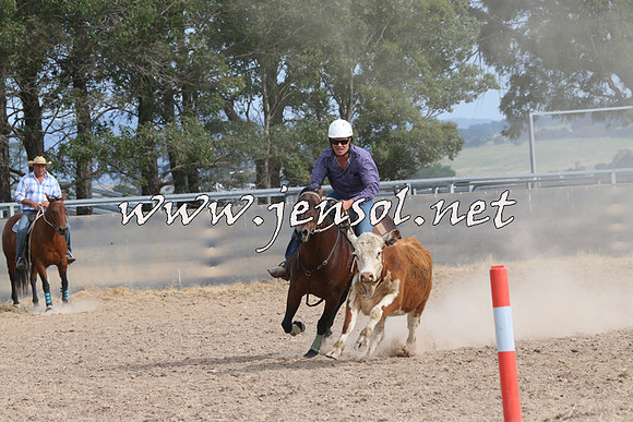 BraidwoodCampdraft2014_1614