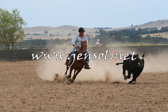 BraidwoodCampdraft2014_1444