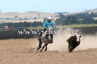 BraidwoodCampdraft2014_1337
