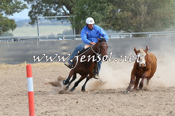 BraidwoodCampdraft2014_1593
