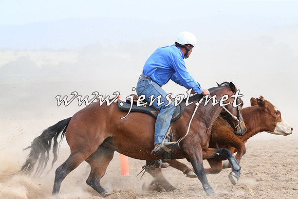 BraidwoodCampdraft2014_1598