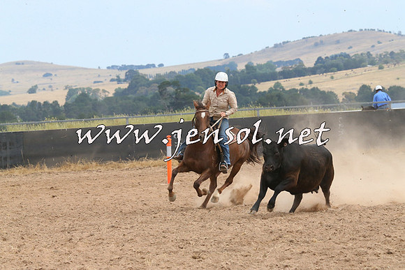 BraidwoodCampdraft2014_1486