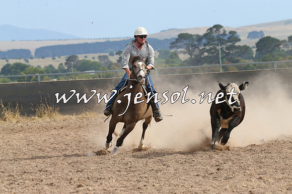 BraidwoodCampdraft2014_1645