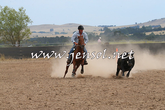 BraidwoodCampdraft2014_1443