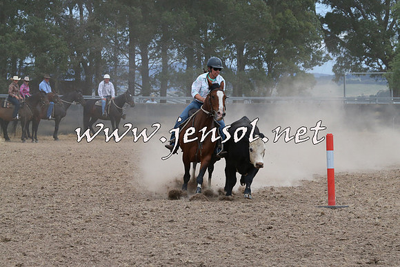 BraidwoodCampdraft2014_1387