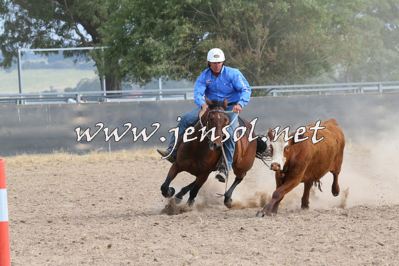 BraidwoodCampdraft2014_1596