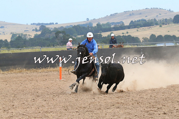 BraidwoodCampdraft2014_1403