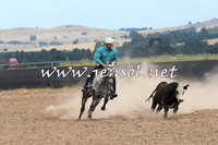 BraidwoodCampdraft2014_1335