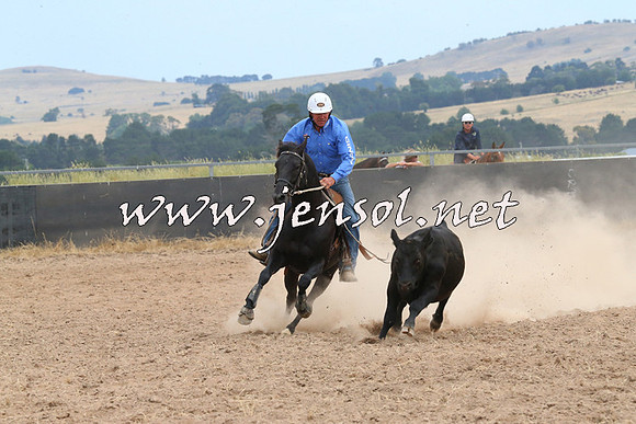 BraidwoodCampdraft2014_1401
