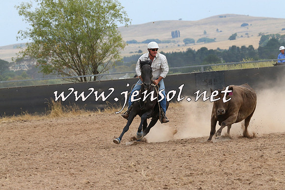 BraidwoodCampdraft2014_1477