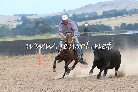 BraidwoodCampdraft2014_1419