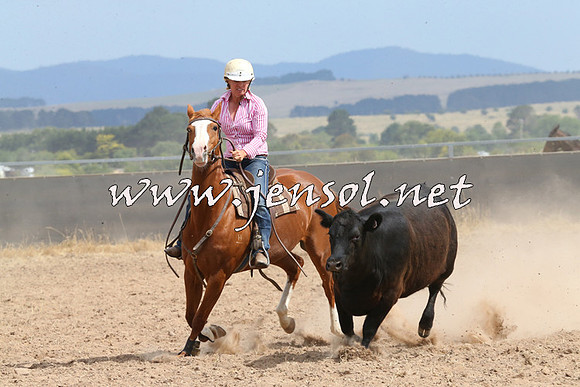 BraidwoodCampdraft2014_1506