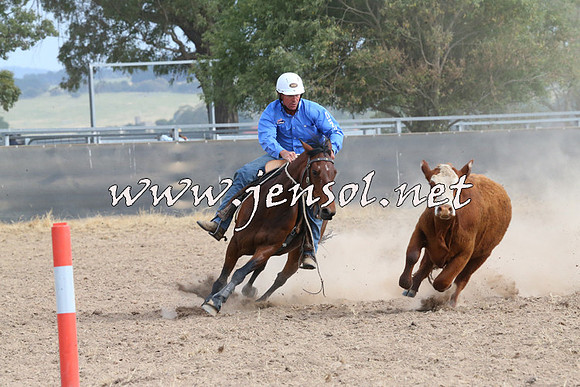 BraidwoodCampdraft2014_1594