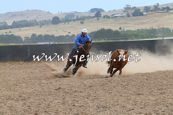 BraidwoodCampdraft2014_1590