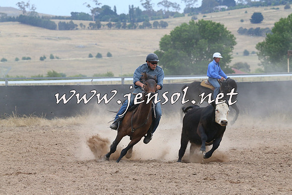 BraidwoodCampdraft2014_1431