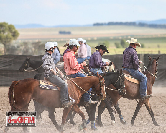 GoulburnCampdraft2019_7472
