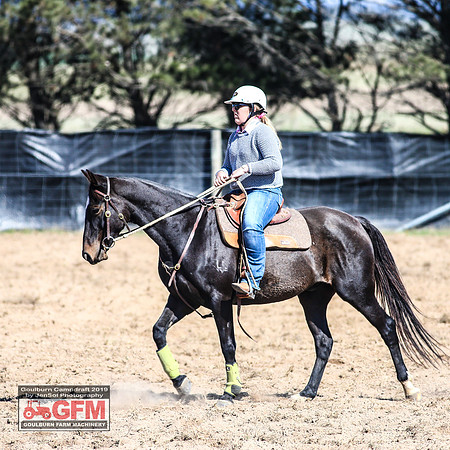 GoulburnCampdraft2019_0629