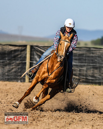 GoulburnCampdraft2019_3124