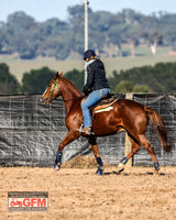 GoulburnCampdraft2019_3109