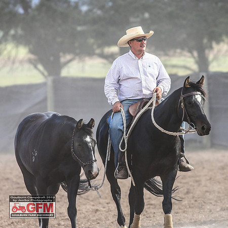 GoulburnCampdraft2019_7477