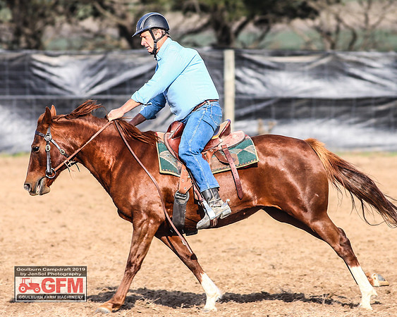 GoulburnCampdraft2019_6234