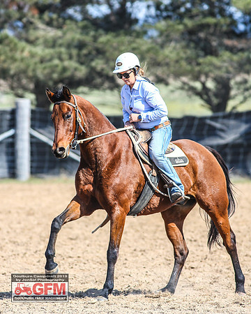 GoulburnCampdraft2019_6618