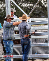 GoulburnCampdraft2019_4511