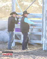 GoulburnCampdraft2019_2399