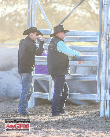 GoulburnCampdraft2019_2399