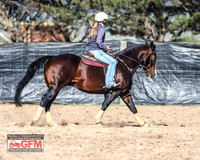 GoulburnCampdraft2019_3082