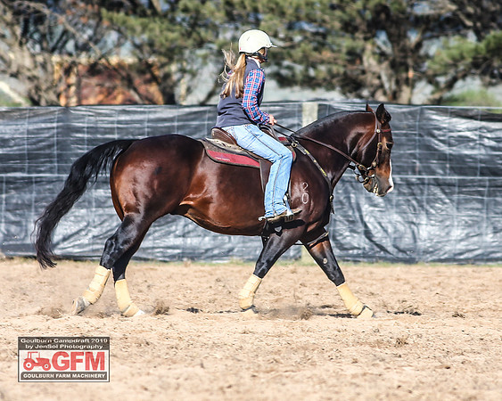 GoulburnCampdraft2019_3082