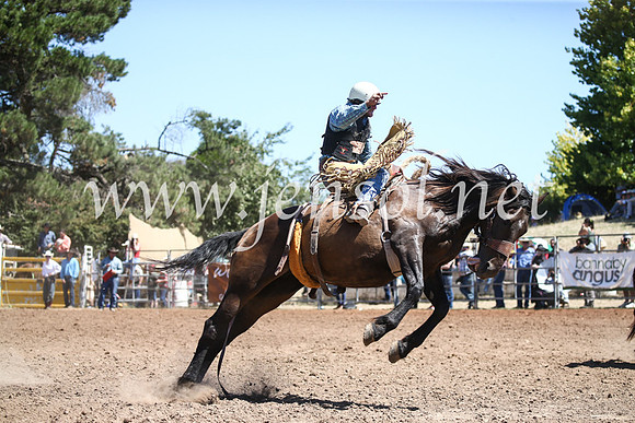 TaralgaRodeoSun2017_3281