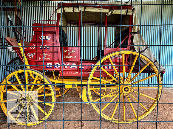 BirdsvilleRaces2022-557