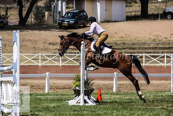 Fri_Showjumping651