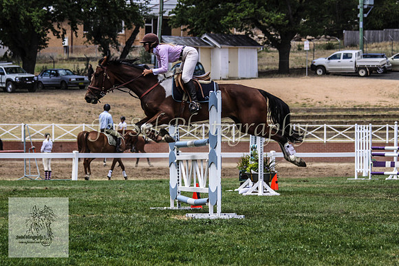 Fri_Showjumping606