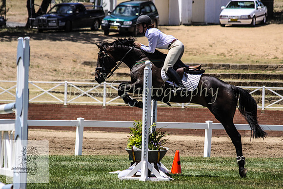 Fri_Showjumping579