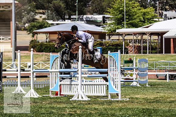 Fri_Showjumping641