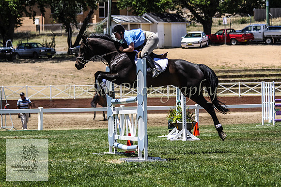 Fri_Showjumping569