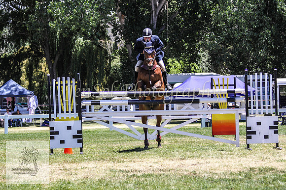 Fri_Showjumping500