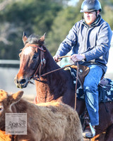 CountyofCumberland2019_1923