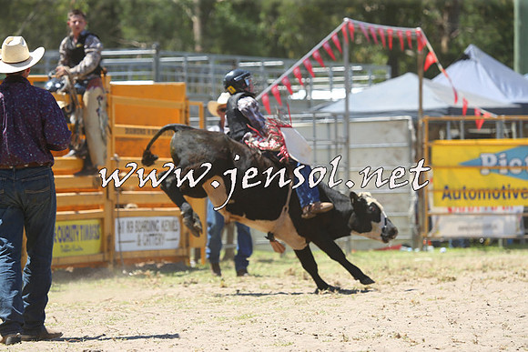 PictonRodeo2015_1124