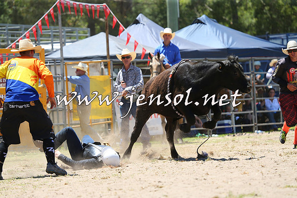 PictonRodeo2015_0776