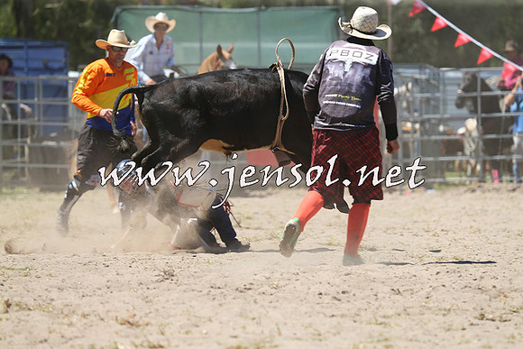 PictonRodeo2015_1127