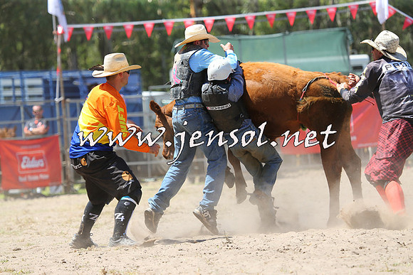 PictonRodeo2015_1101