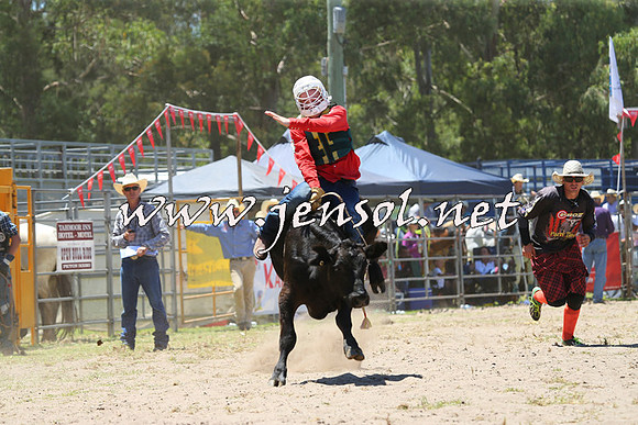 PictonRodeo2015_0795