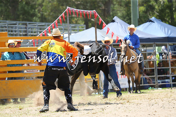 PictonRodeo2015_0780