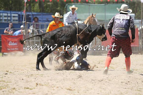 PictonRodeo2015_1125