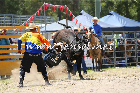 PictonRodeo2015_0782