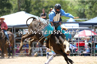 PictonRodeo2015_0532
